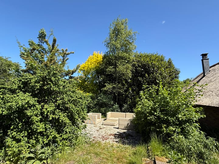 Foto 84 van 't Haantje 30