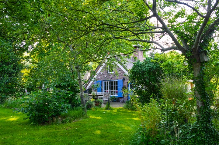 Foto 85 van 't Haantje 30