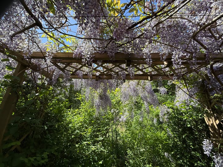 Foto 87 van 't Haantje 30