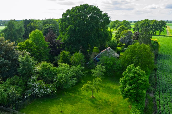 Foto 91 van 't Haantje 30