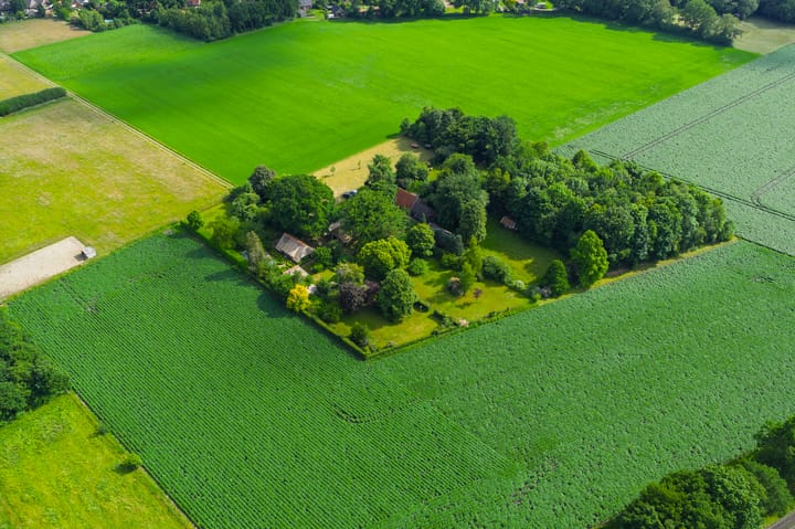 Foto 92 van 't Haantje 30