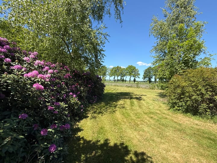 Foto 93 van 't Haantje 30