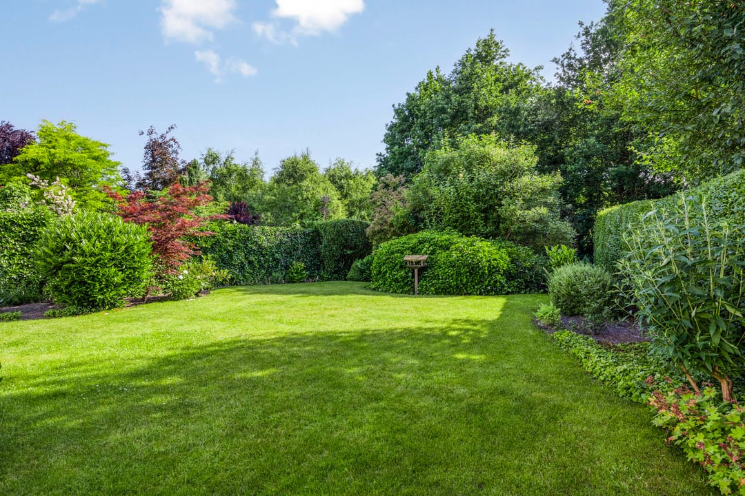 Foto 32 van Sodalietdreef 42