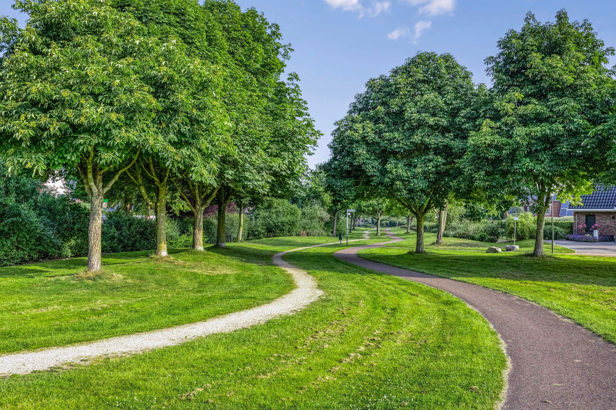 Foto 45 van Sodalietdreef 42