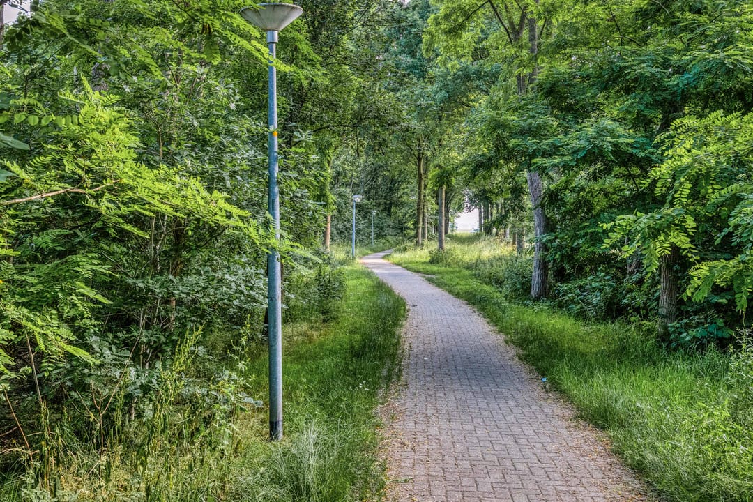 Foto 47 van Sodalietdreef 42