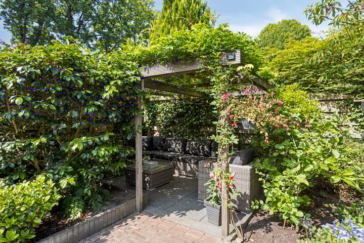 Photo 37 of Molenbeek 10