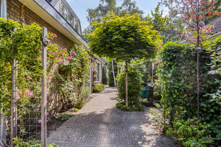 Photo 39 of Molenbeek 10