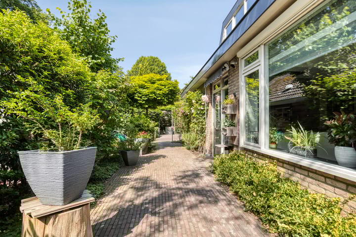 Photo 40 of Molenbeek 10