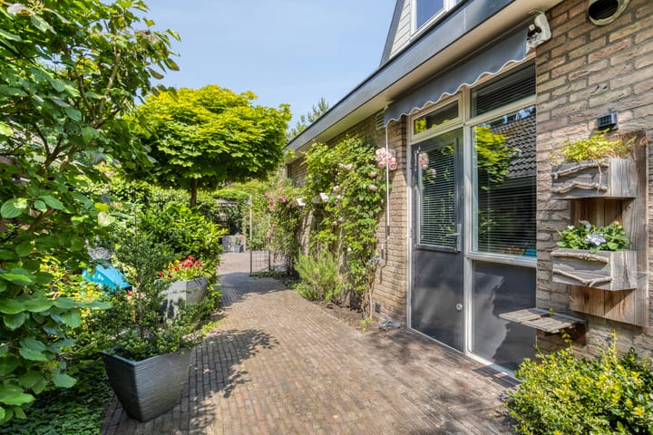 Photo 41 of Molenbeek 10