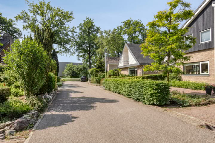 Photo 42 of Molenbeek 10