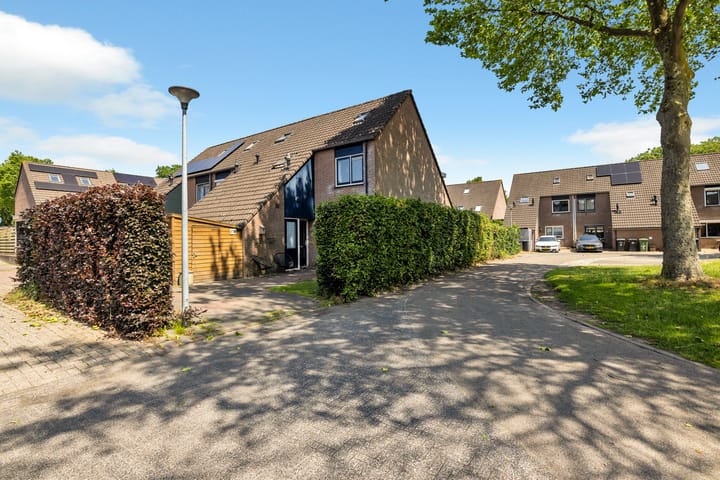 Photo 5 of Goudvink 6