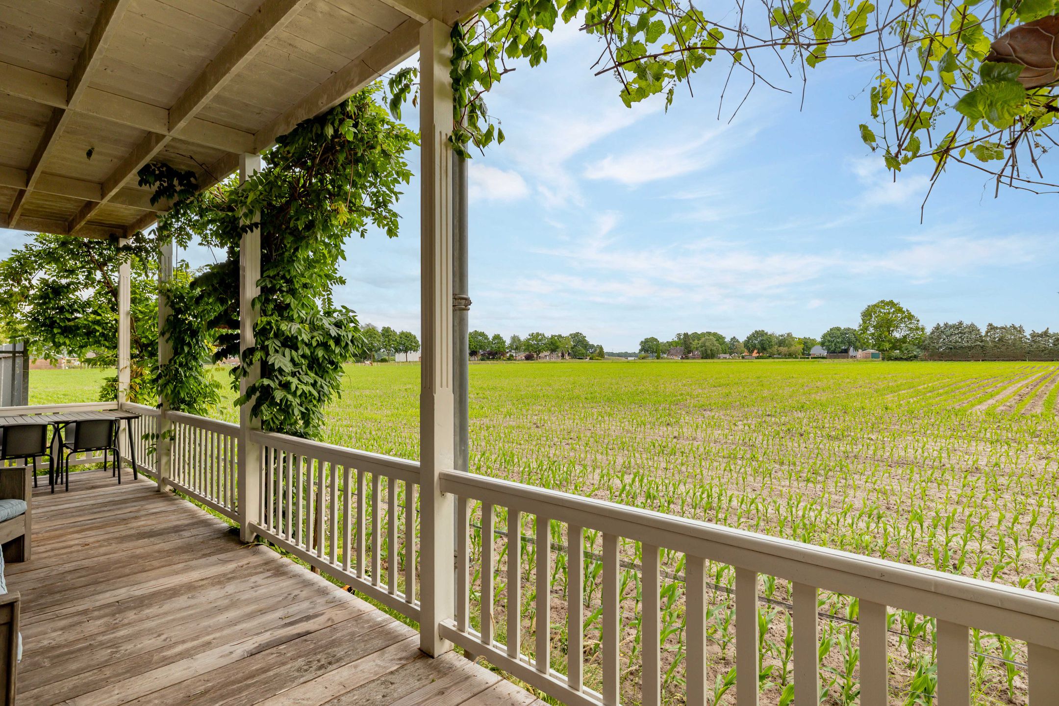 Foto 48 van Jan Haarstraat 36