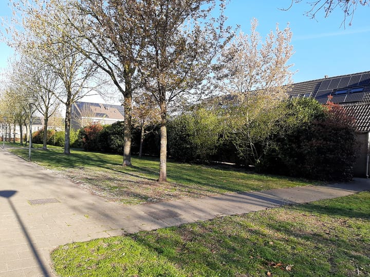 Foto 41 van Basielhof 58