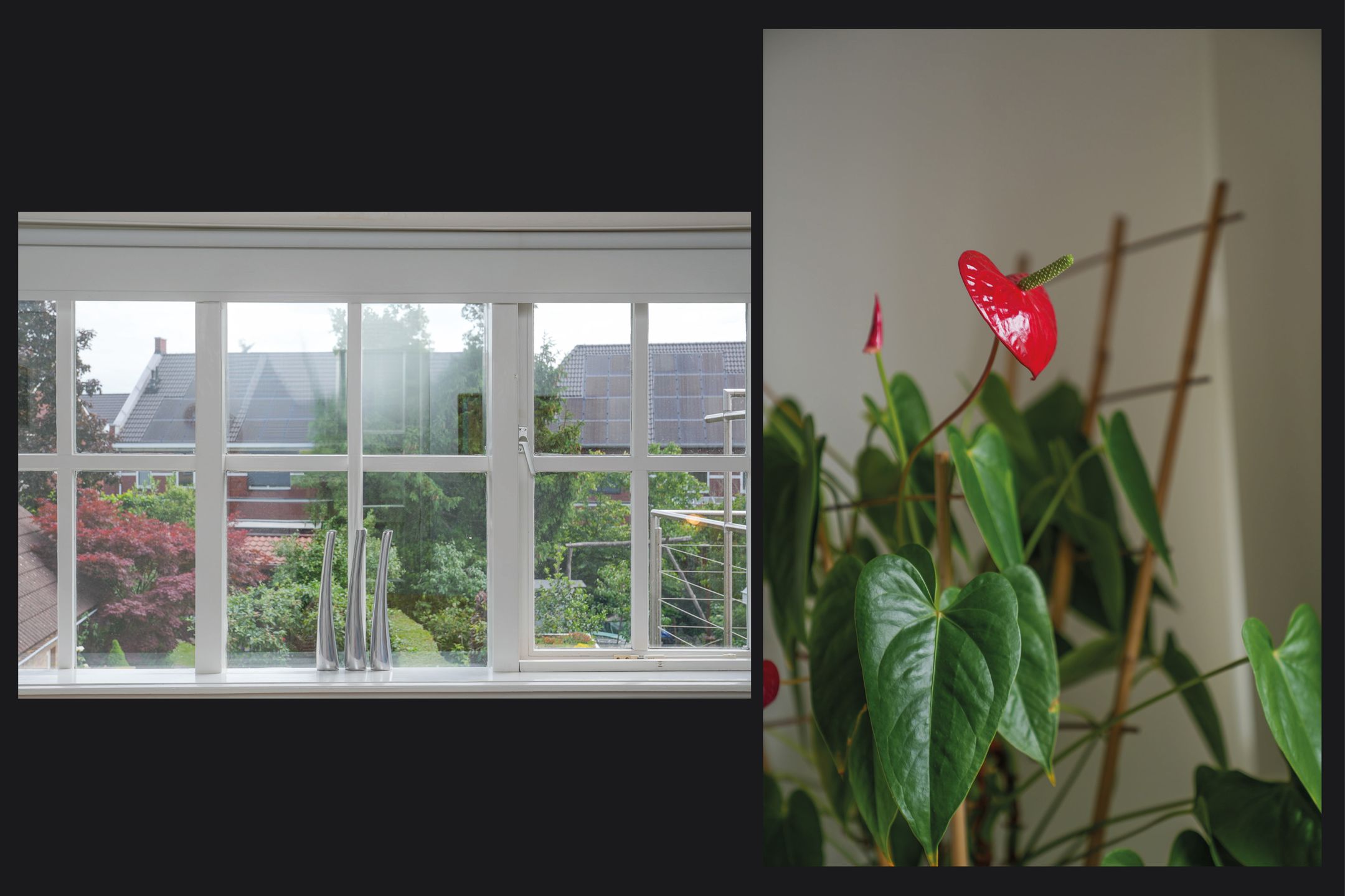 Foto 24 van Koningin Wilhelminaweg 33