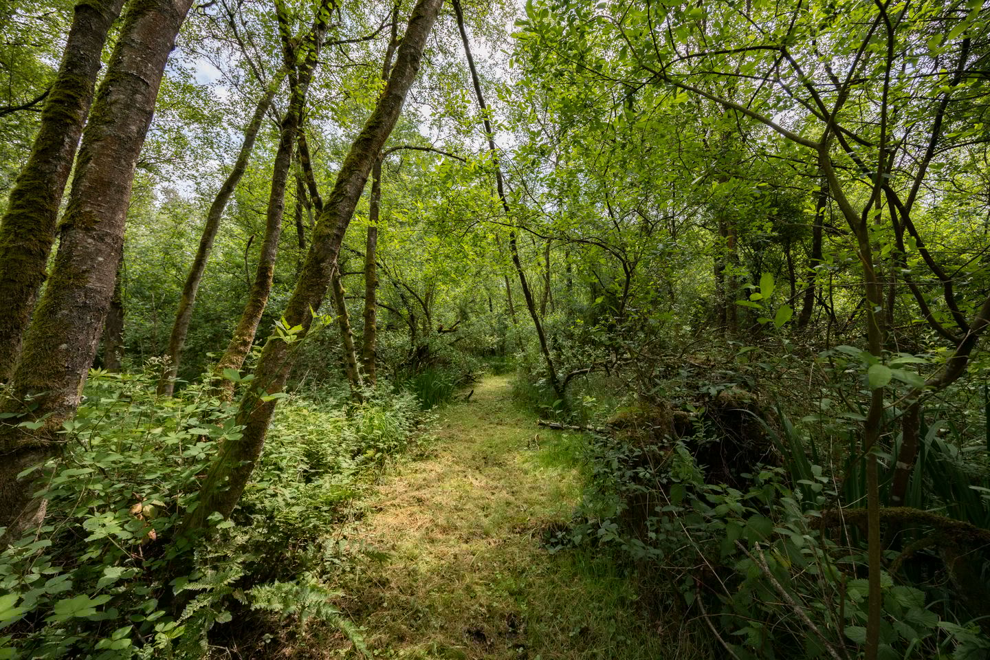 Foto 40 van Posthoornseweg 20