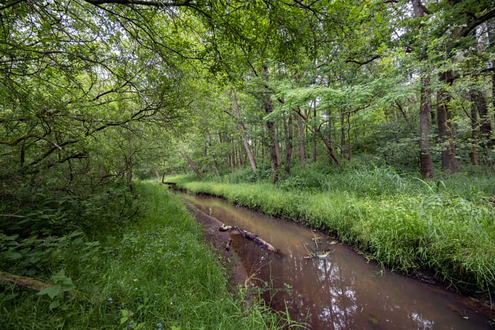 Foto 41 van Posthoornseweg 20