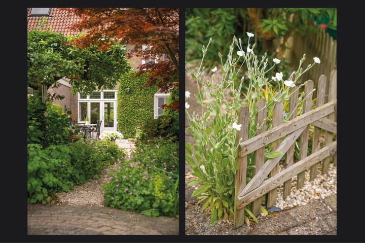 Foto 52 van Koningin Wilhelminaweg 33