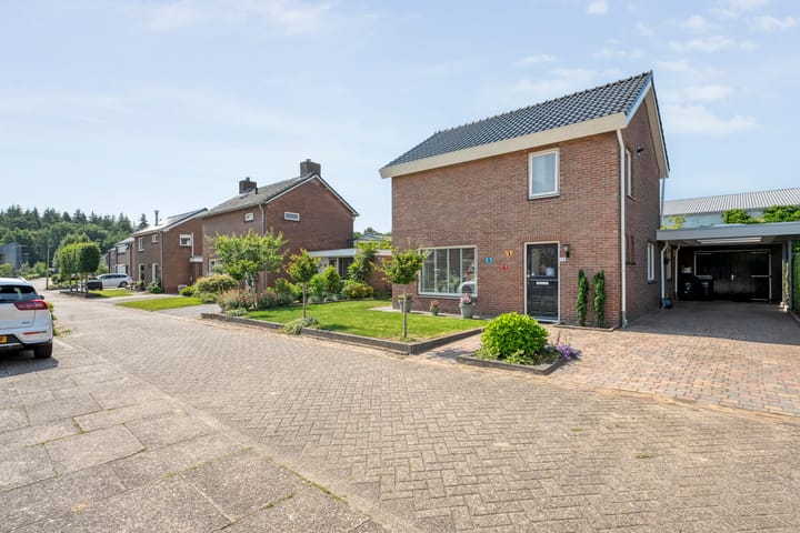 Foto 5 van Meidoorn 15