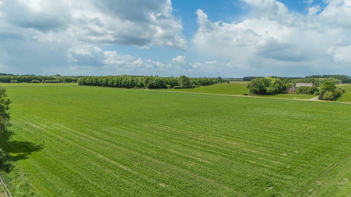 Foto 10 van Koppelwijk OZ 31