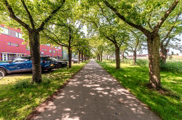 Foto 36 van Sepiastraat 44