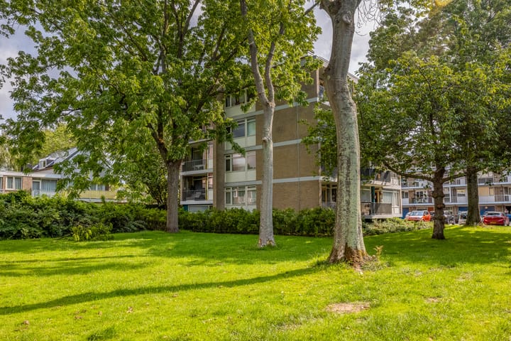 Foto 2 van Platostraat 130