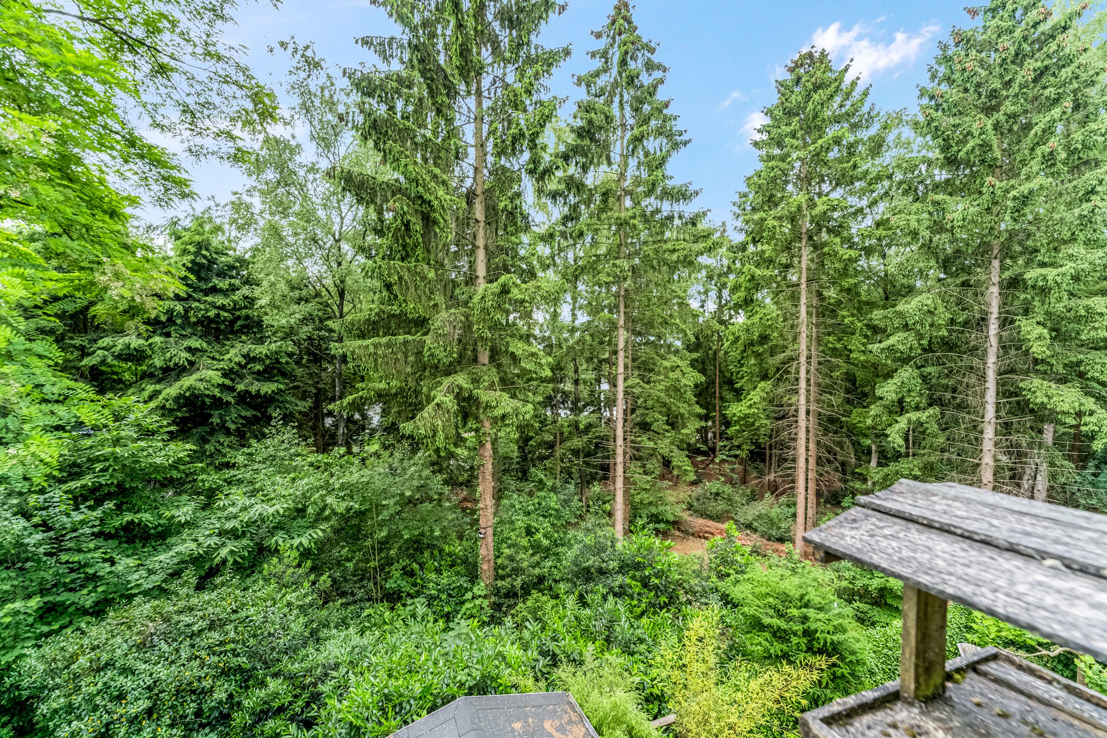 Photo 18 of M.C.Verloopweg 52-II