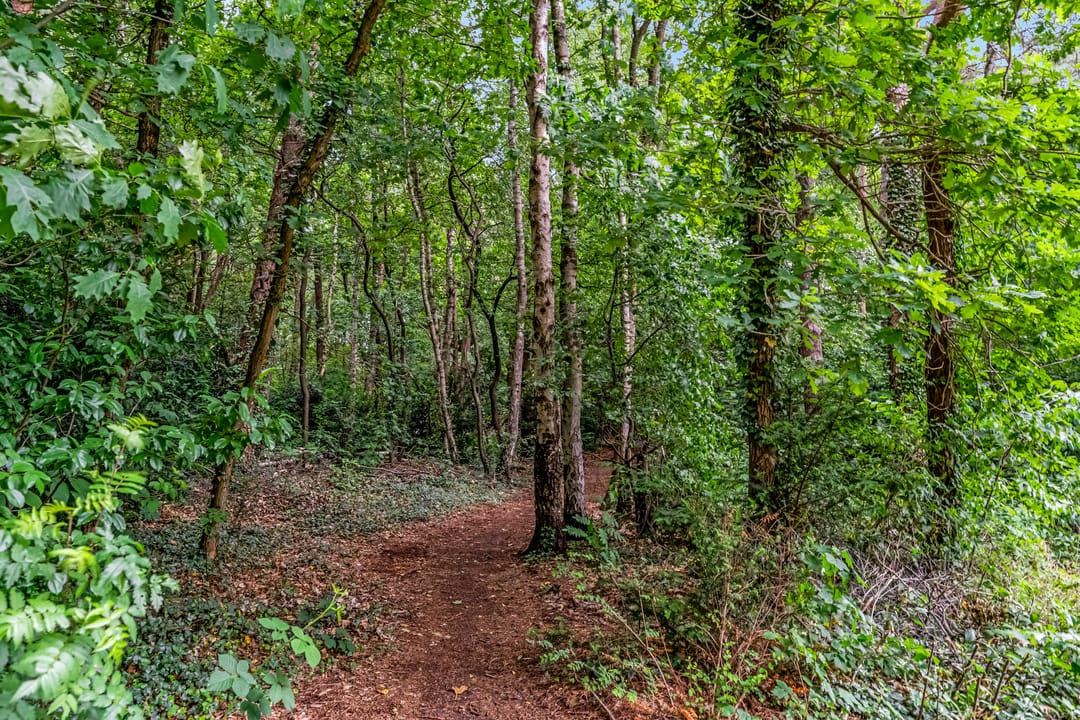 Photo 26 of M.C.Verloopweg 52-II