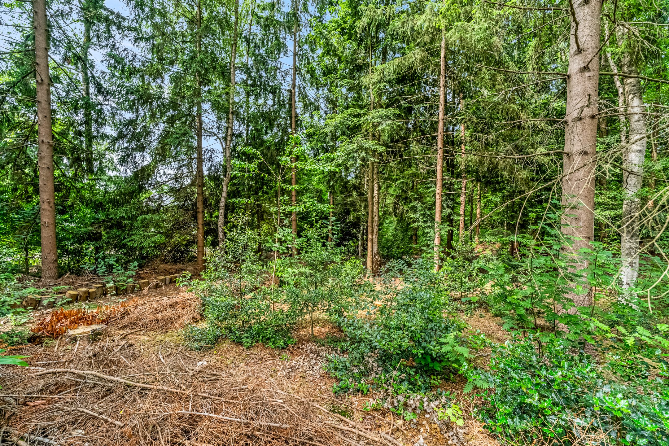 Photo 27 of M.C.Verloopweg 52-II