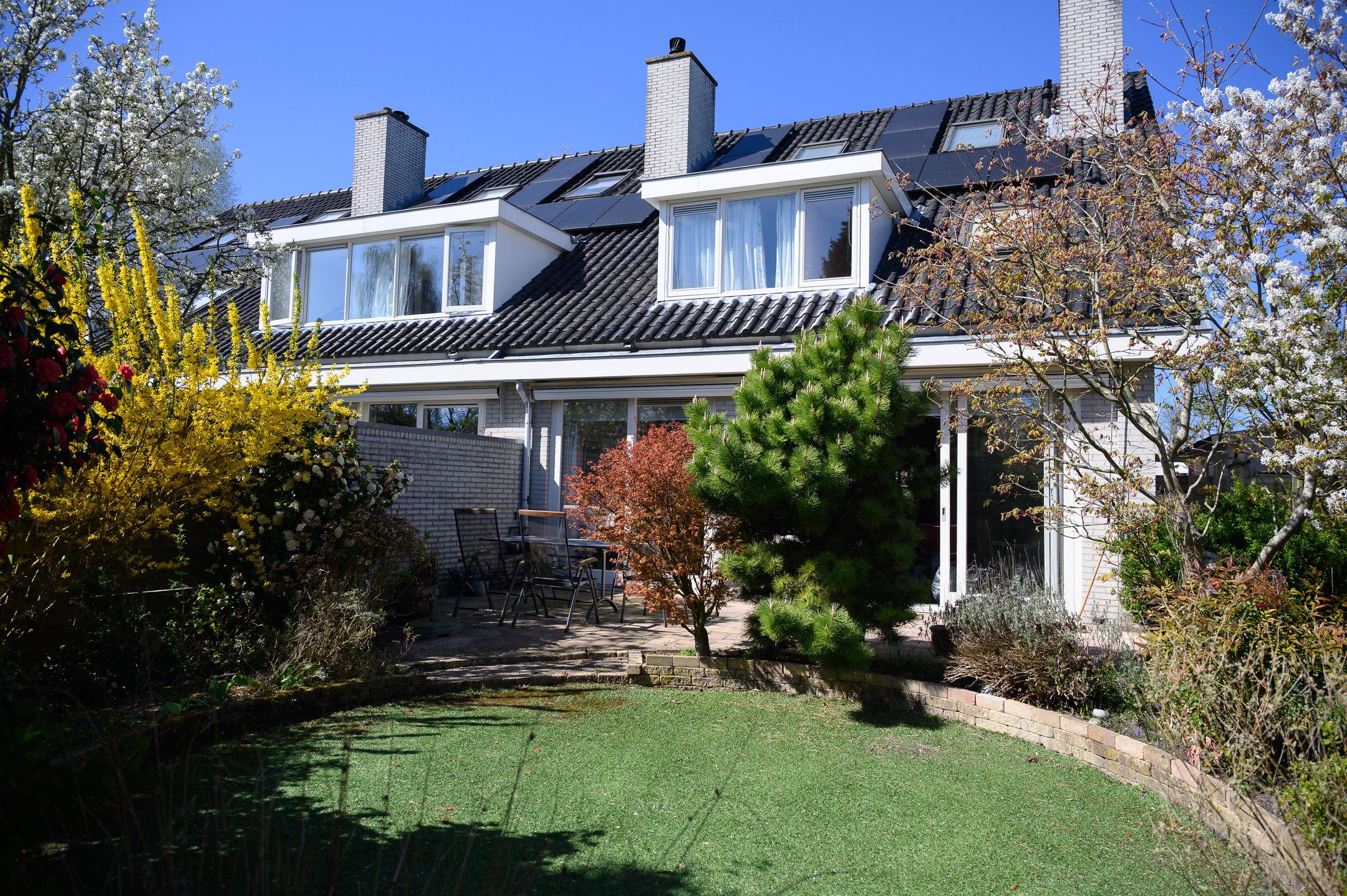 Foto 45 van Abel Tasmanplantsoen 13