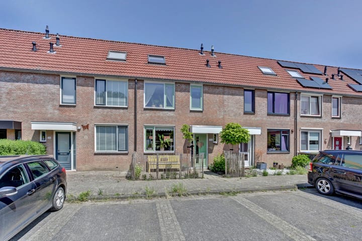 undefined main image
