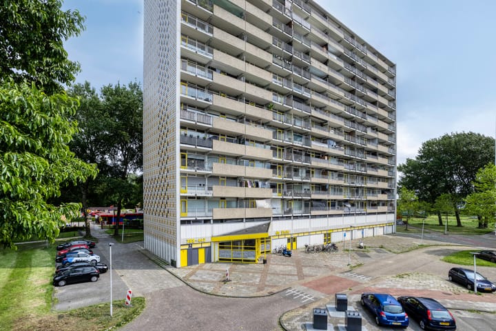 Foto 4 van Tjaarda 382