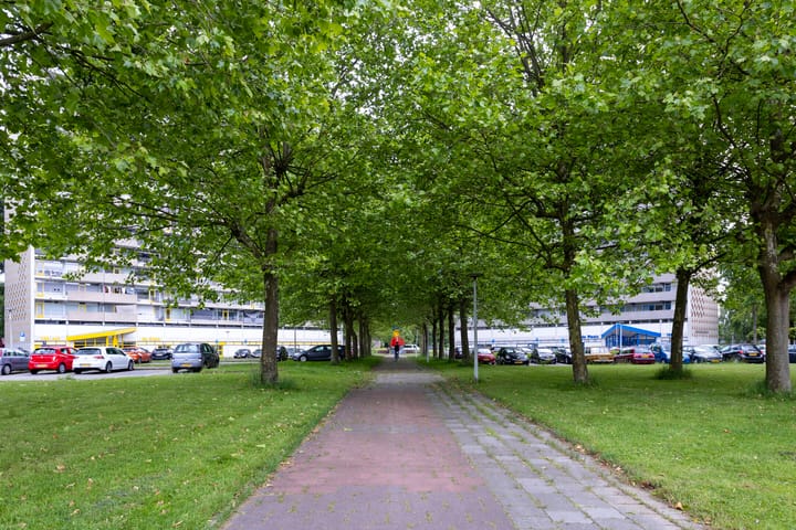 Foto 31 van Tjaarda 382