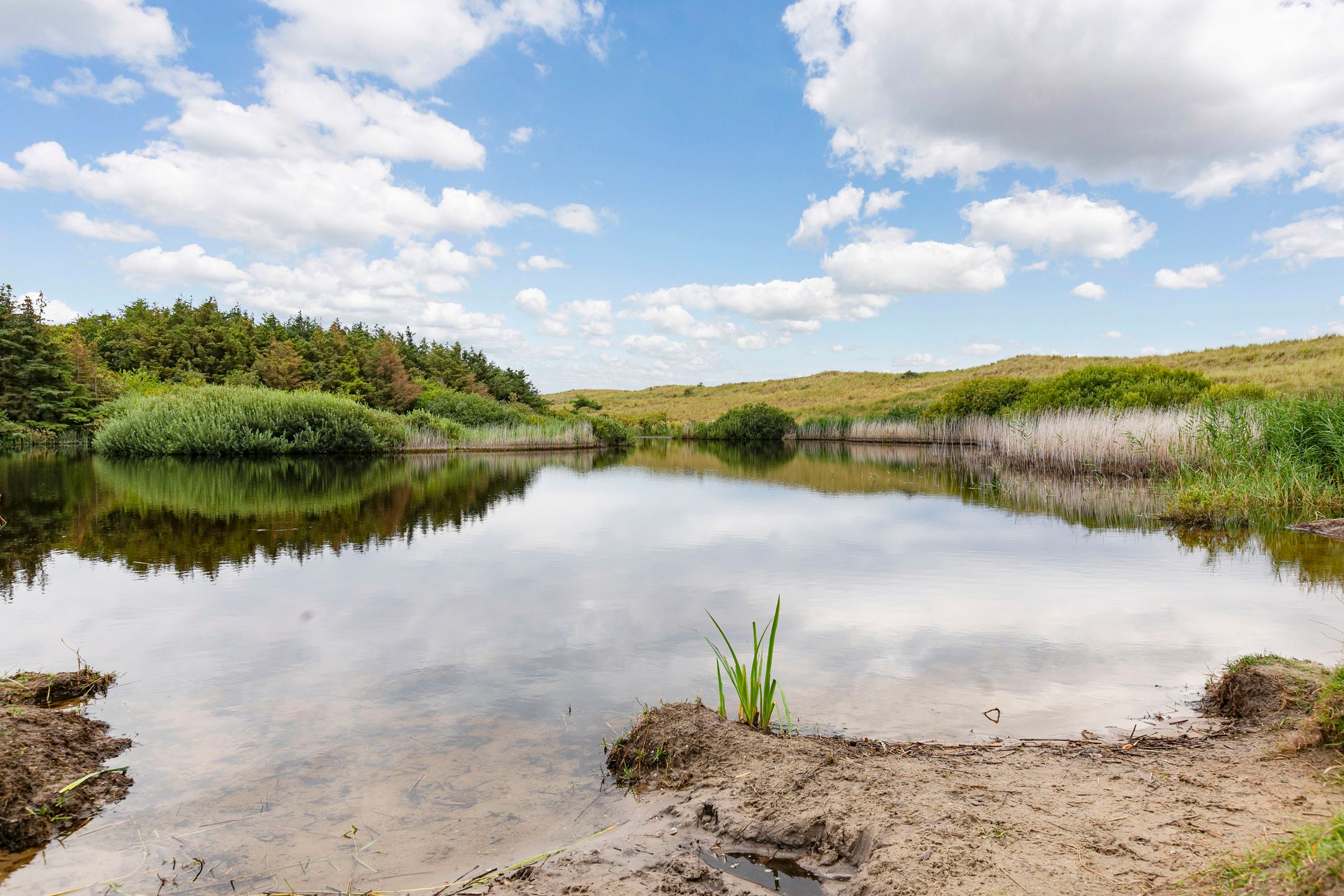 Foto 39 van Westerduinweg 10