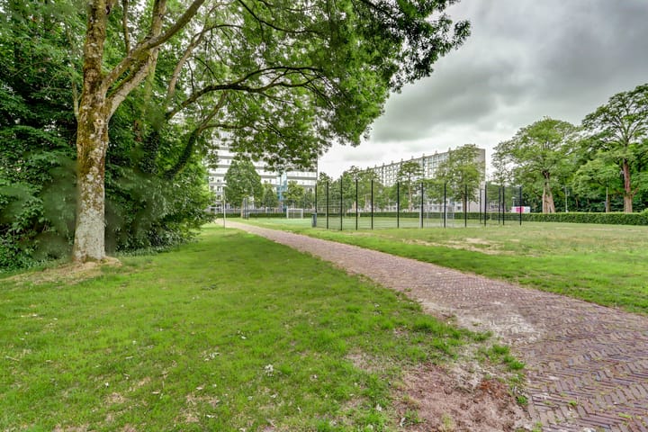 Foto 49 van Cobradreef 16