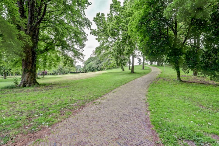 Foto 50 van Cobradreef 16