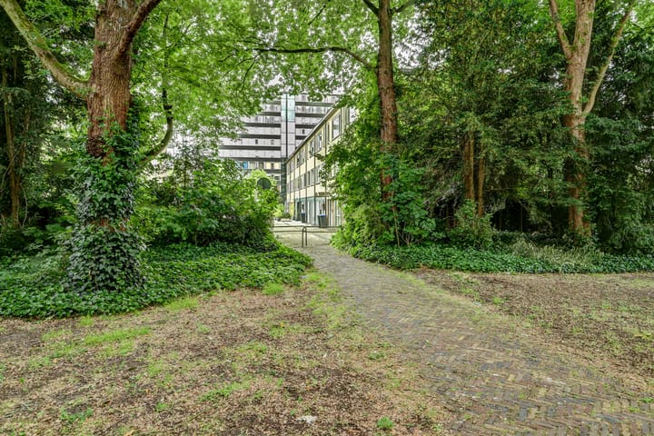 Foto 51 van Cobradreef 16