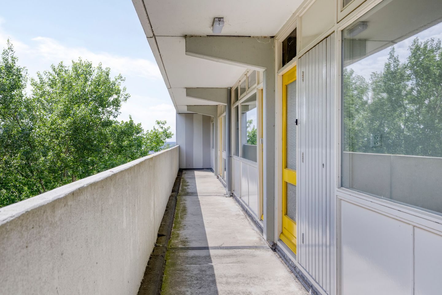 Foto 10 van Tjaarda 374