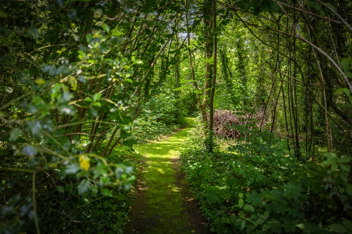 Foto 19 van Hukkersdijk 5