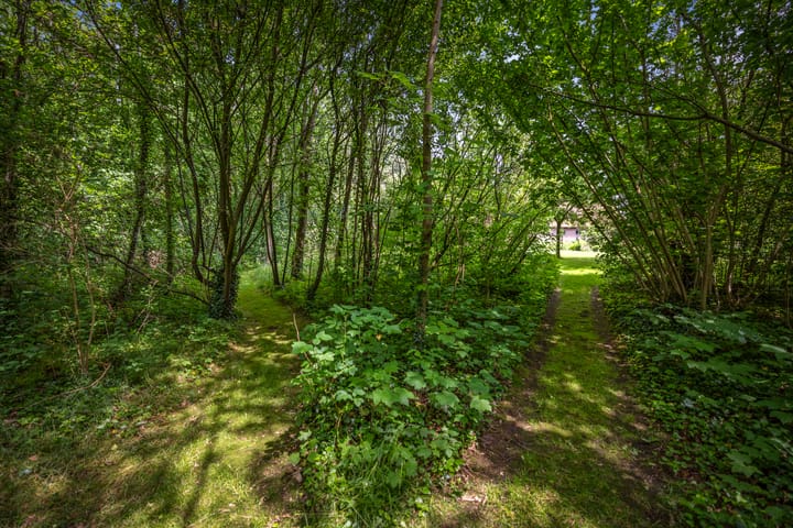 Foto 20 van Hukkersdijk 5