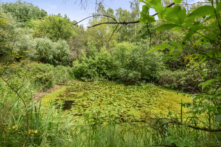 Foto 21 van Hukkersdijk 5