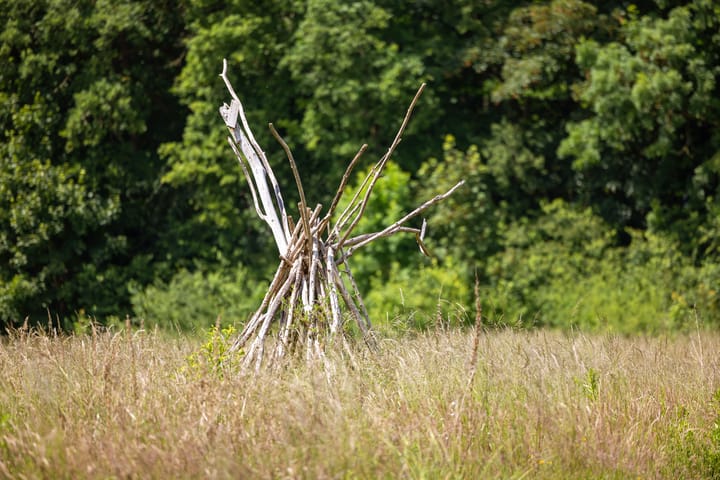 Foto 60 van Fortmonderweg 29