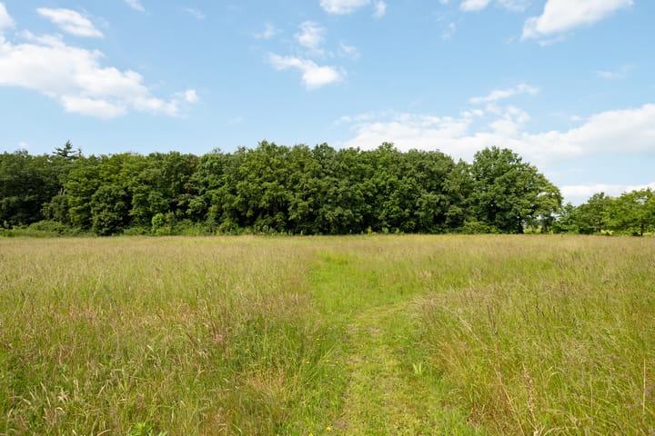 Foto 68 van Fortmonderweg 29