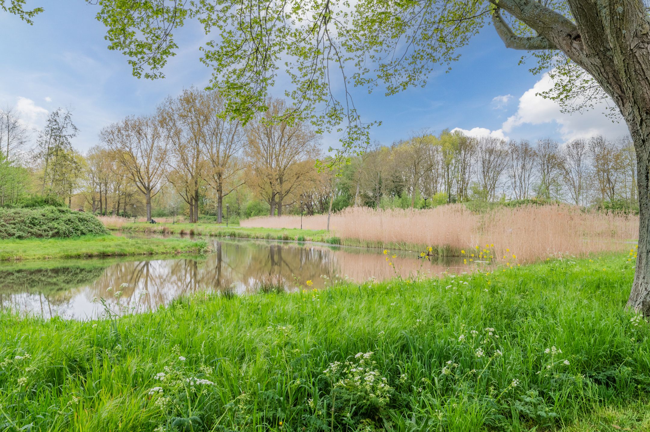 Foto 27 van Joris Helleputtestraat 1