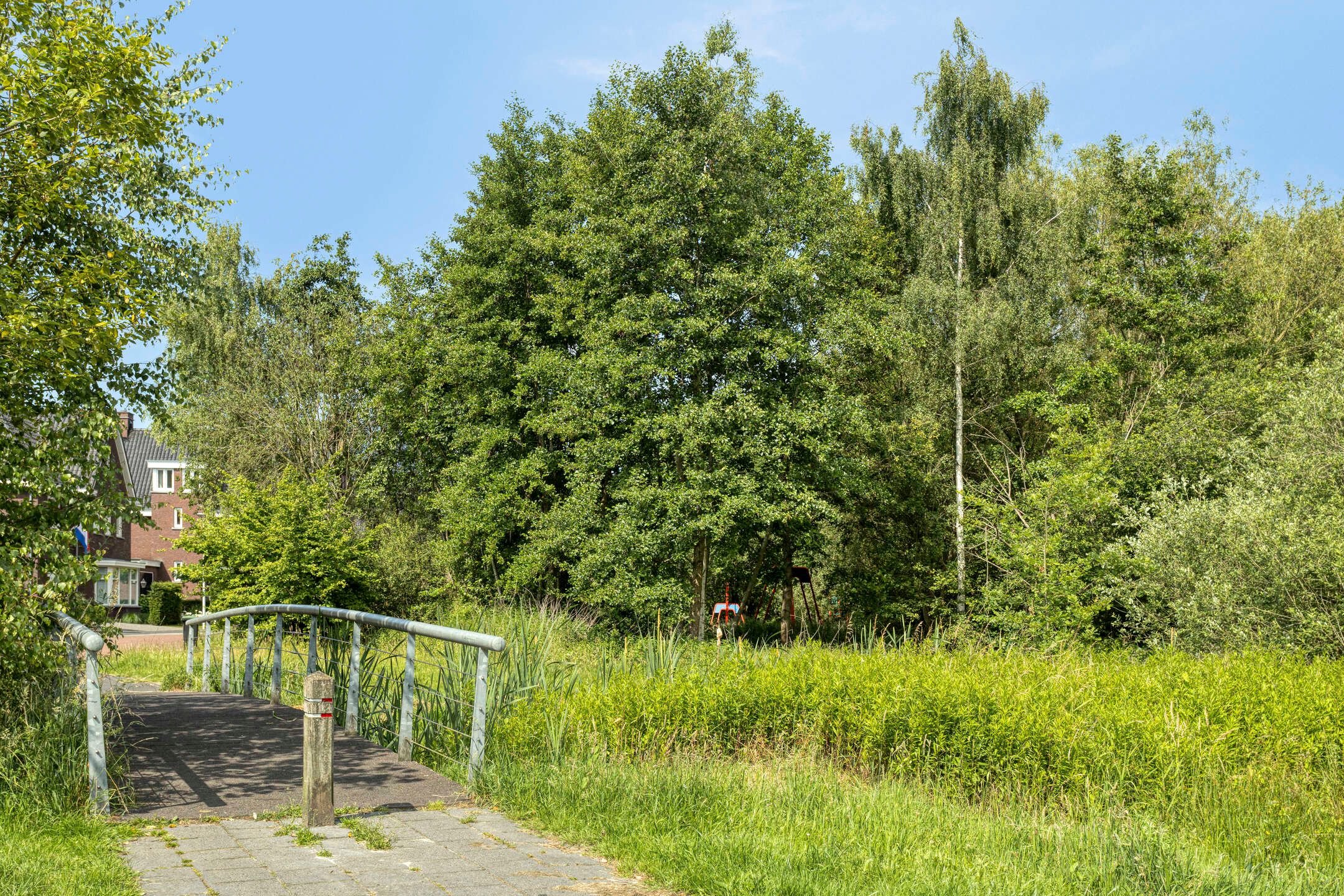 Foto 39 van Pieter Belsstraat 56