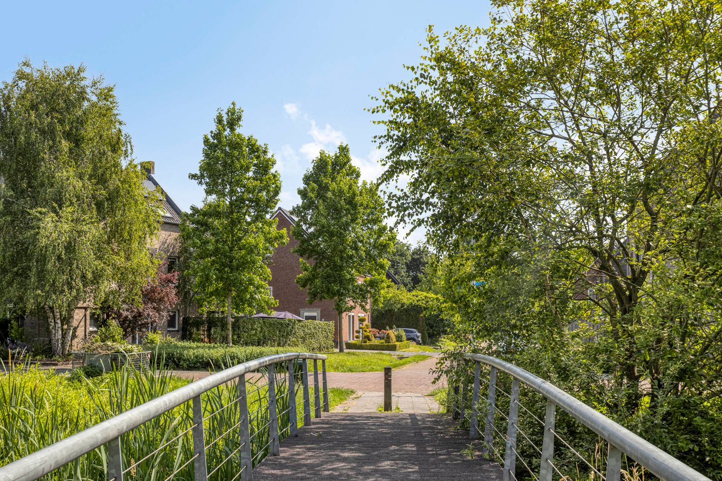 Foto 40 van Pieter Belsstraat 56