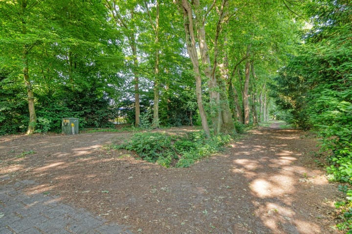 Foto 46 van Desmijndijk 95