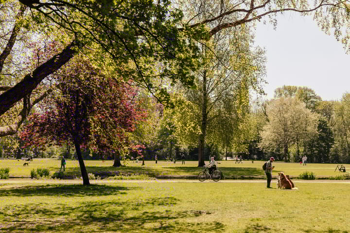 Foto 49 van Valeriusstraat 15-H