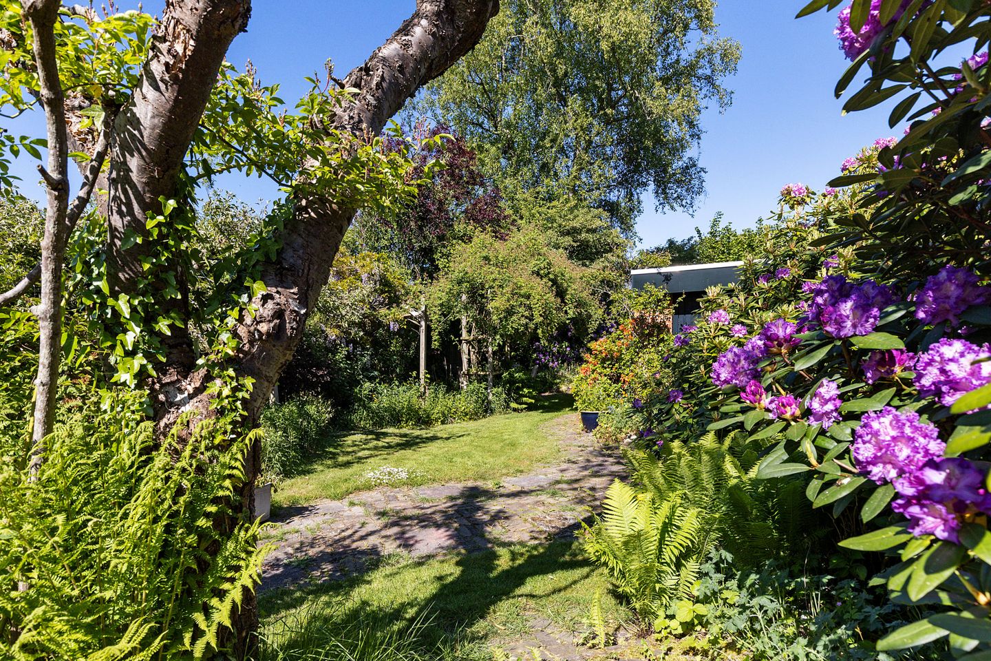 Foto 20 van Middelhorsterweg 62