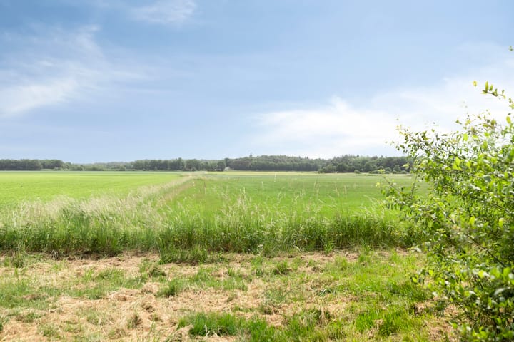 Foto 50 van Bronkhorstdreef 48