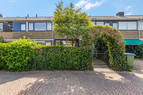 undefined main image